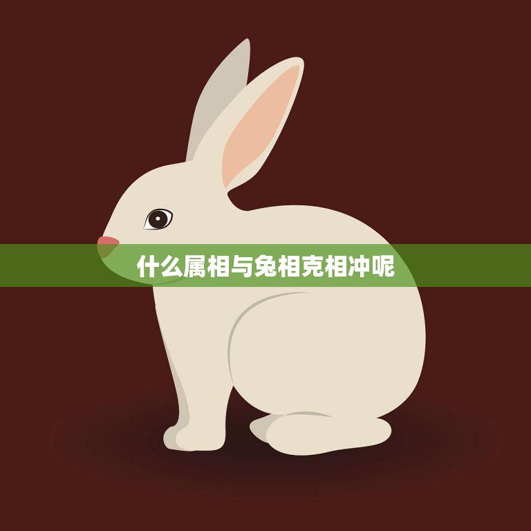 什么属相与兔相克相冲呢(属相相克大揭秘)  第3张