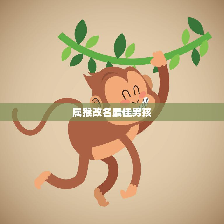 属猴改名最佳男孩(如何为属猴宝宝选择最适合的名字)  第3张