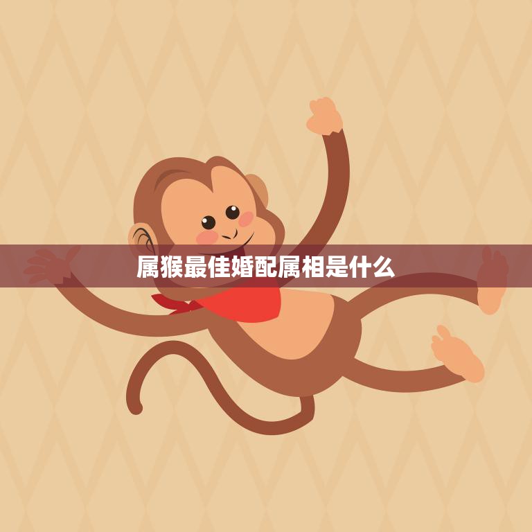 属猴最佳婚配属相是什么(揭秘猴子婚姻最佳搭档)  第3张