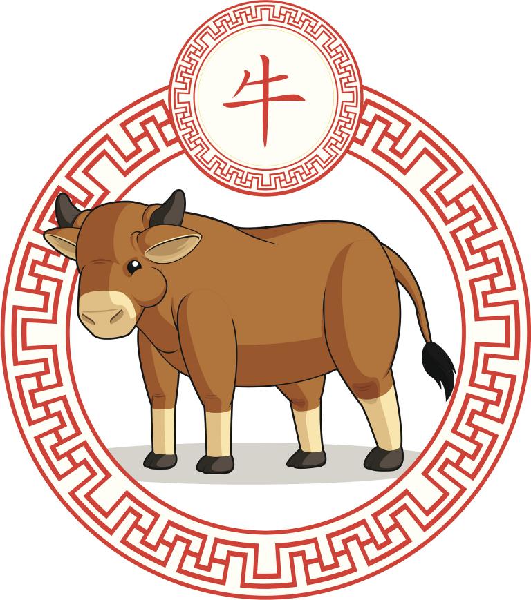 属牛的今年多大年龄多少(2023年属牛人的年龄预测)  第1张