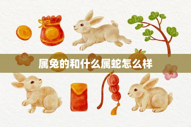 属兔的和什么属蛇怎么样(兔蛇缘分如何)  第3张