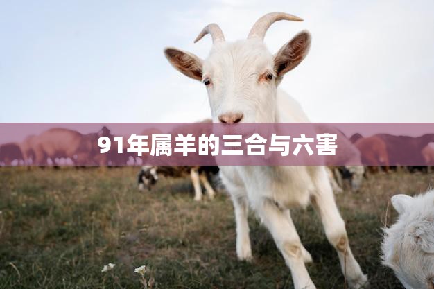 91年属羊的三合与六害(如何化解)  第3张