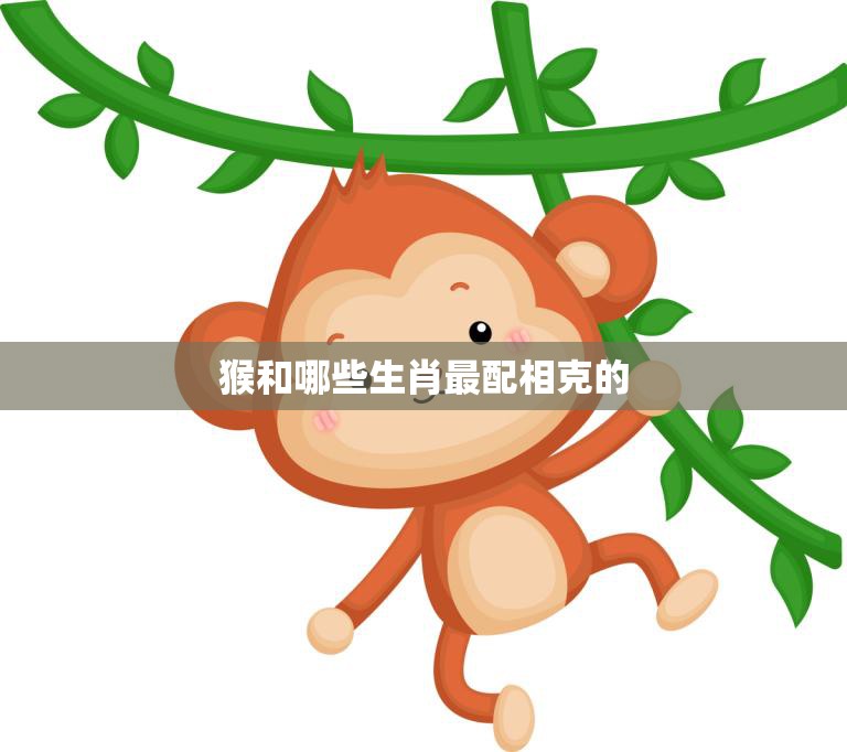 猴和哪些生肖最配相克的(探寻十二生肖中的相生相克关系)  第3张