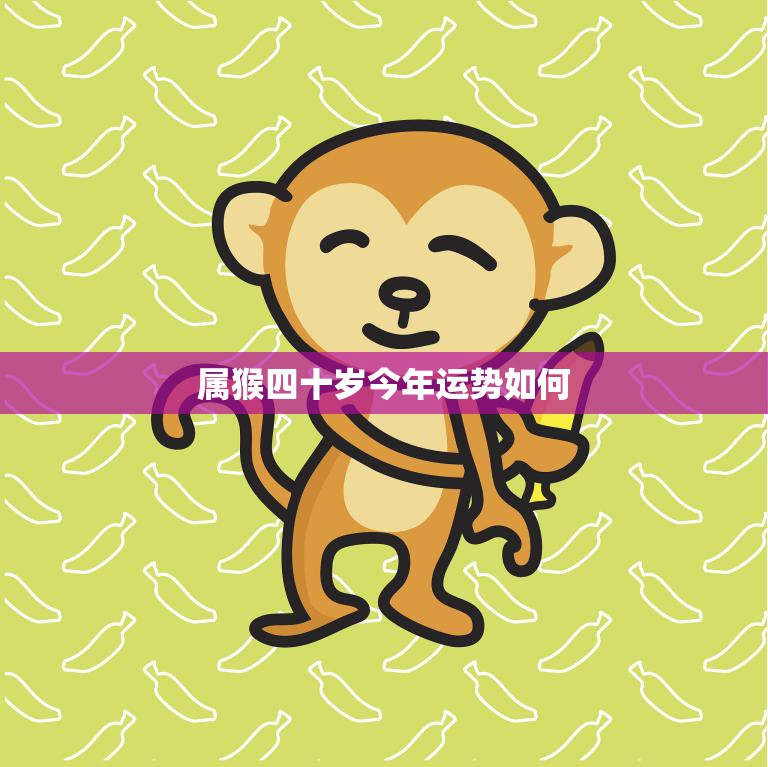 属猴四十岁今年运势如何(解析猴年属猴人的命运走向)  第3张