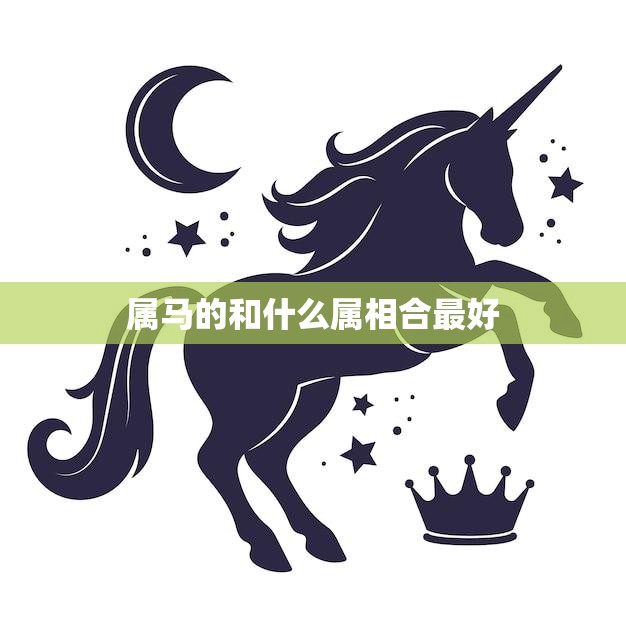 属马的和什么属相合最好(探寻十二生肖中的最佳配对)  第3张