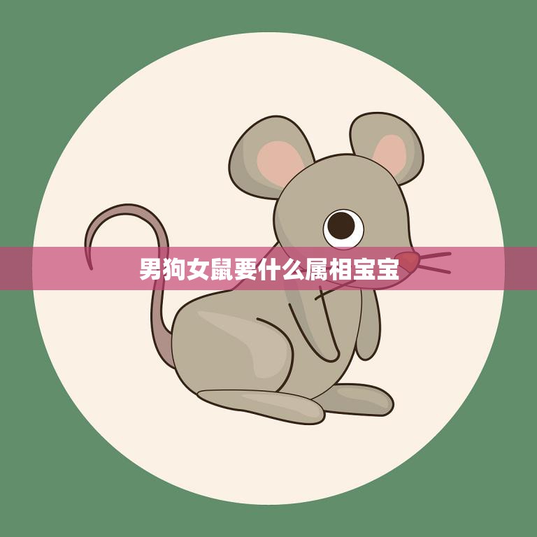 男狗女鼠要什么属相宝宝(如何选择最佳属相)  第3张
