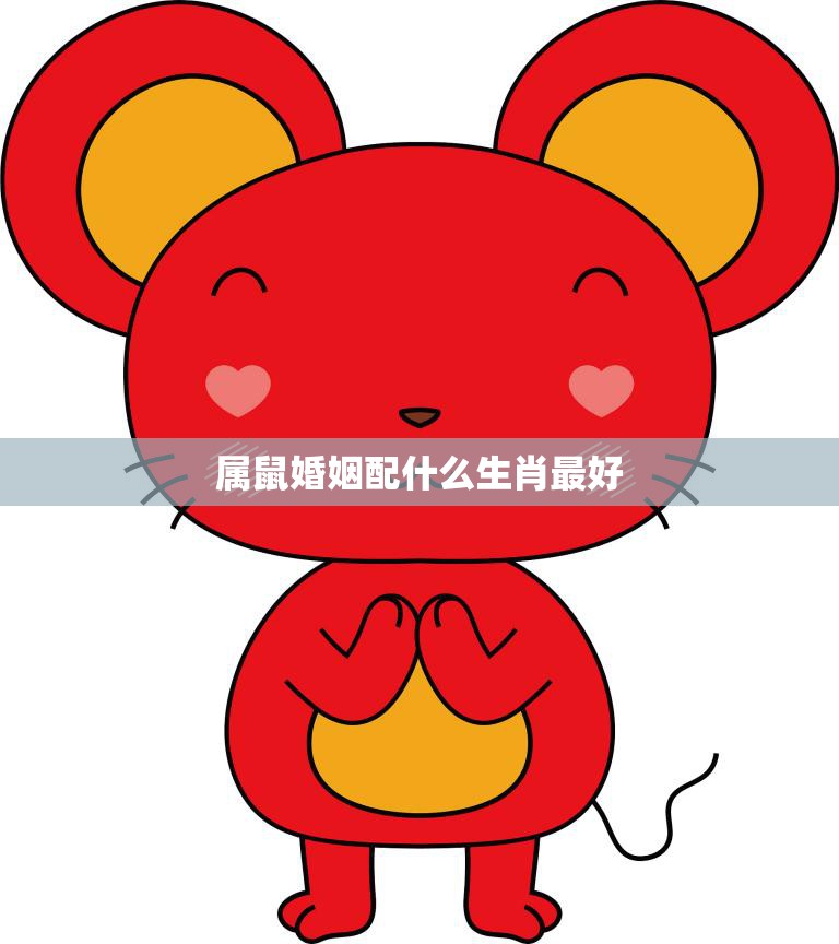 属鼠婚姻配什么生肖最好(如何选择最佳配偶)  第3张