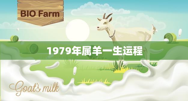 1979年属羊一生运程(如何把握命运转机)  第3张