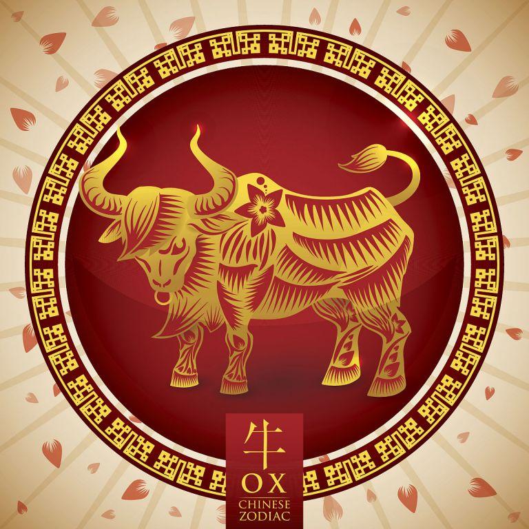 属牛生肖的今年多大年龄(2023年属牛人的年龄预测)  第2张