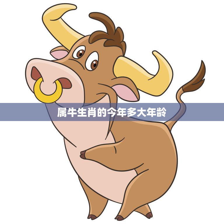 属牛生肖的今年多大年龄(2023年属牛人的年龄预测)  第3张
