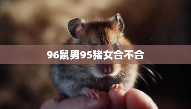 96鼠男95猪女合不合(星座专家揭秘他们的爱情契合度)  第3张