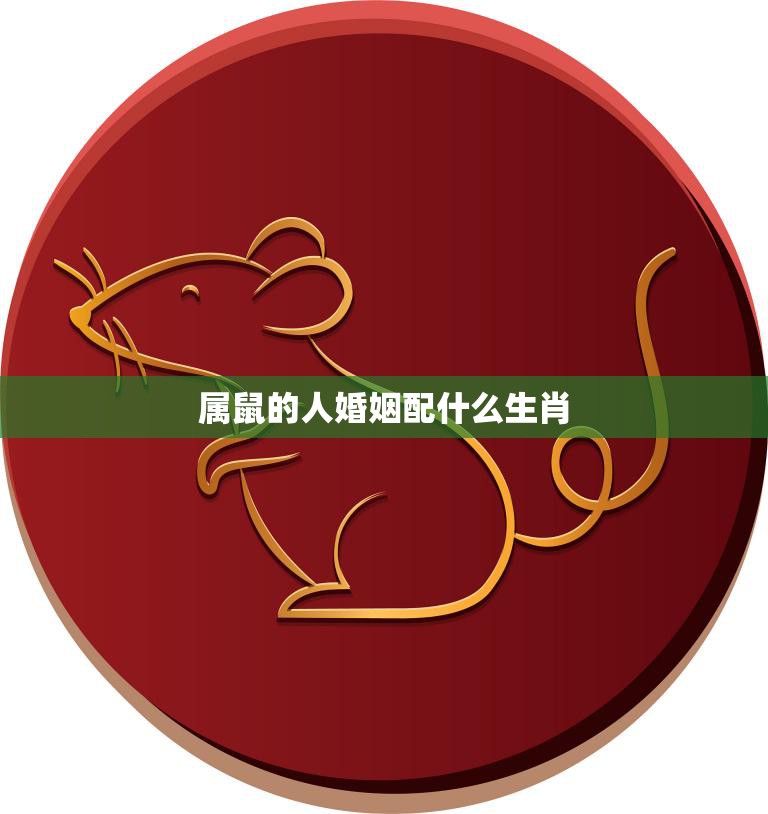 属鼠的人婚姻配什么生肖(如何选择最佳配偶)  第3张