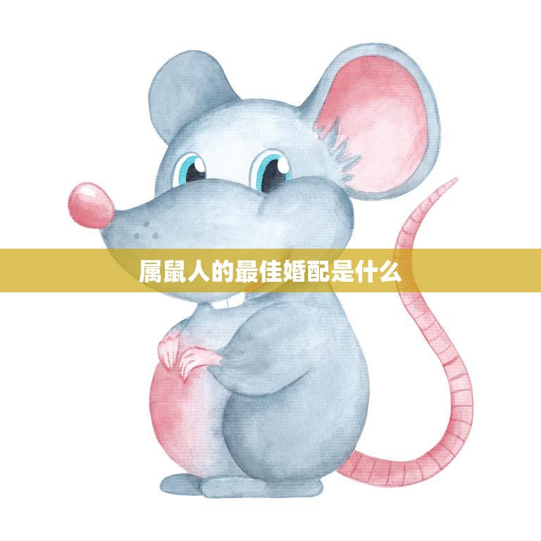 属鼠人的最佳婚配是什么(如何找到你的完美伴侣)  第3张