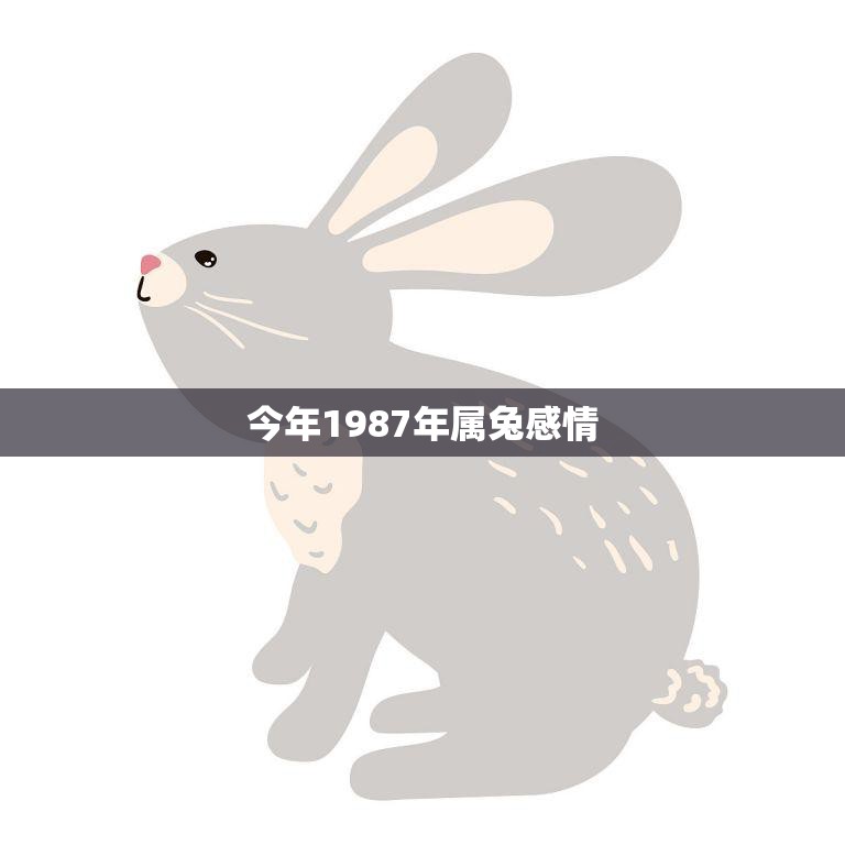 今年1987年属兔感情(如何化解矛盾迎来幸福)  第3张