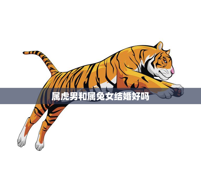 属虎男和属兔女结婚好吗(星座配对分析)  第3张