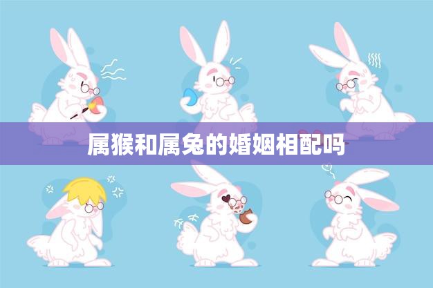 属猴和属兔的婚姻相配吗(解析属相配对)  第3张