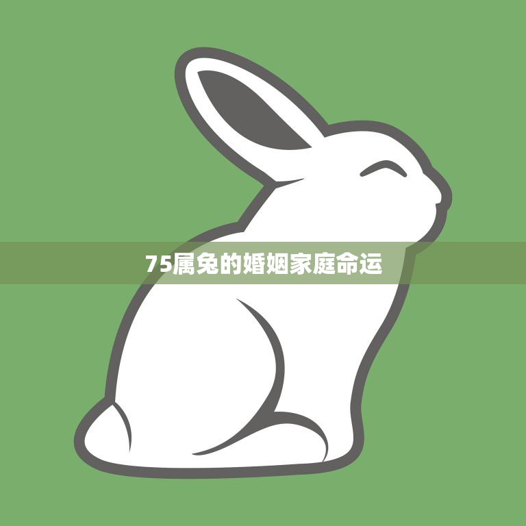 75属兔的婚姻家庭命运(如何保持幸福)  第3张