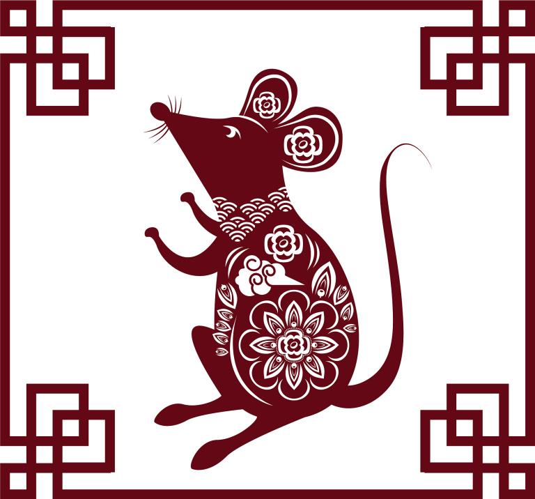 2026年属鼠是什么命(解析属鼠人的2026运势)