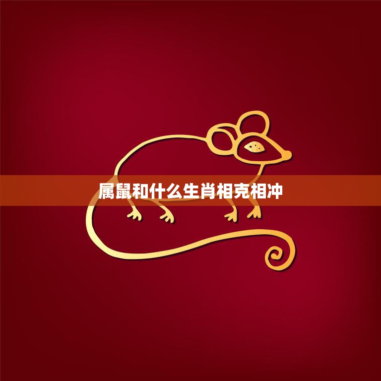 属鼠和什么生肖相克相冲(十二生肖中的属鼠你知道和哪些生肖相克相冲吗)  第3张