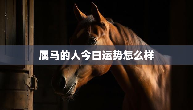 属马的人今日运势怎么样(马上有好运)  第3张
