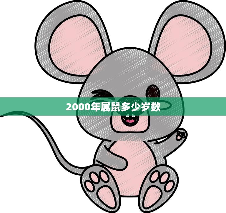 2000年属鼠多少岁数(如今已经多少岁了)  第3张