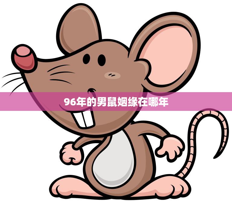 96年的男鼠姻缘在哪年(寻找爱情的时光之旅)  第3张