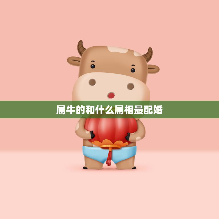 属牛的和什么属相最配婚(最佳婚配星座大揭秘)  第3张