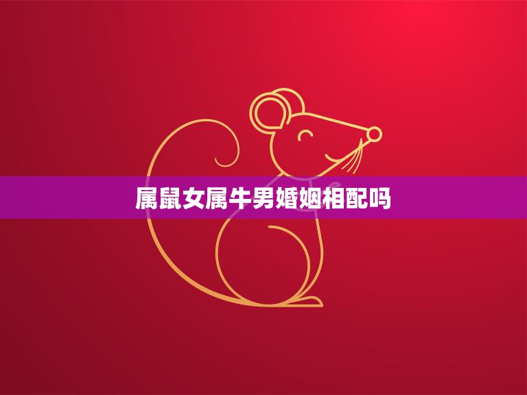 属鼠女属牛男婚姻相配吗(如何避免婚姻矛盾)  第3张
