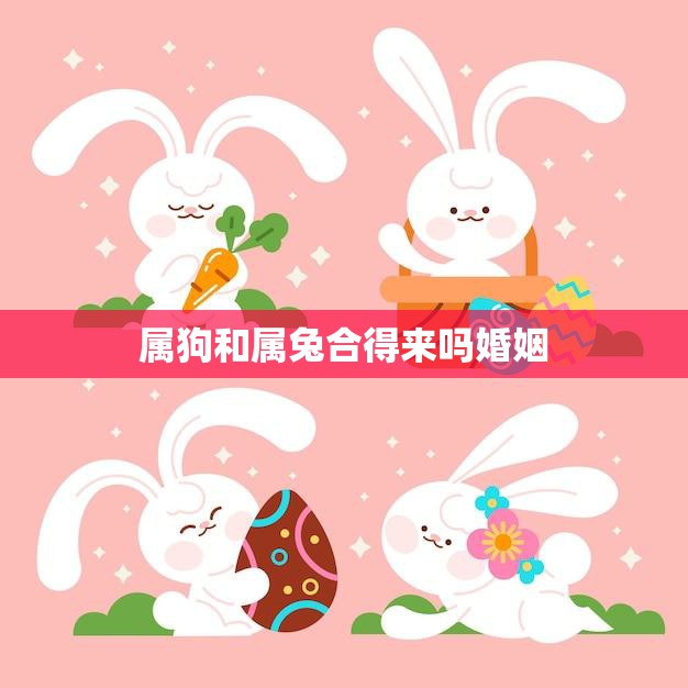 属狗和属兔合得来吗婚姻(解析星座配对看看这两个属相是否适合)  第3张