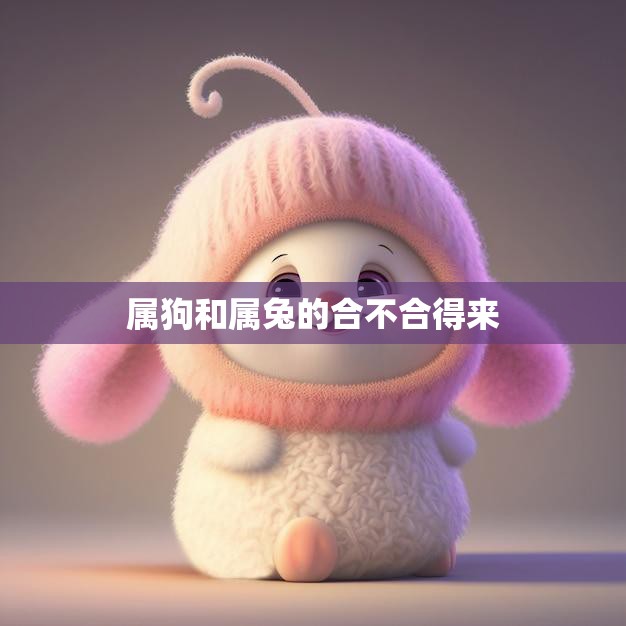 属狗和属兔的合不合得来(如何化解矛盾)  第3张
