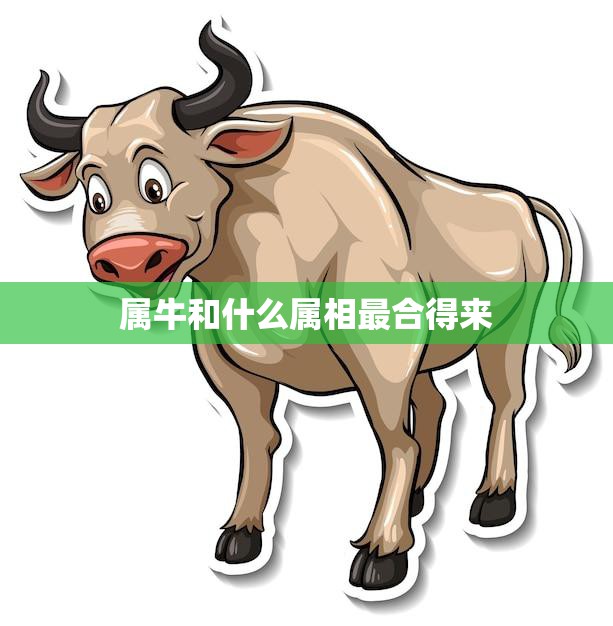 属牛和什么属相最合得来(最佳配对大揭秘)  第3张
