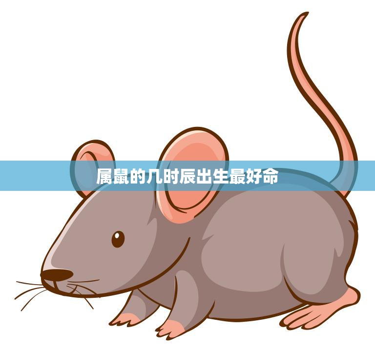 属鼠的几时辰出生最好命(如何选择最佳出生时辰)  第3张