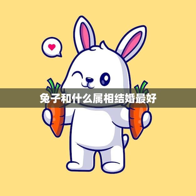 兔子和什么属相结婚最好(最佳配对属相大揭秘)  第3张
