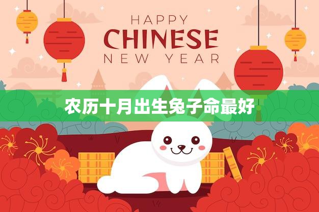 农历十月出生兔子命最好(如何利用命理学提升运势)  第3张
