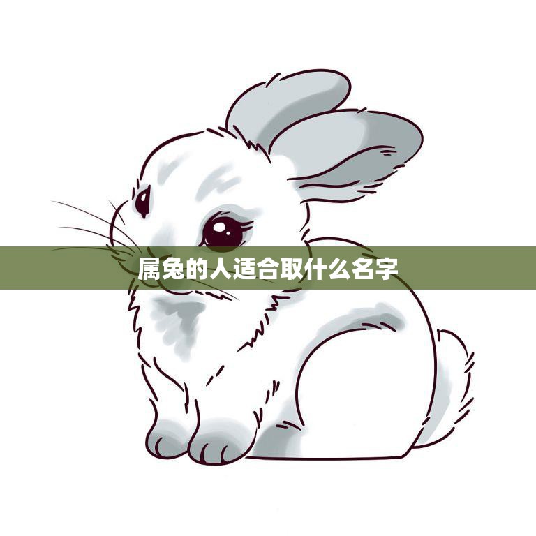 属兔的人适合取什么名字(如何为兔子宝宝取名)  第3张