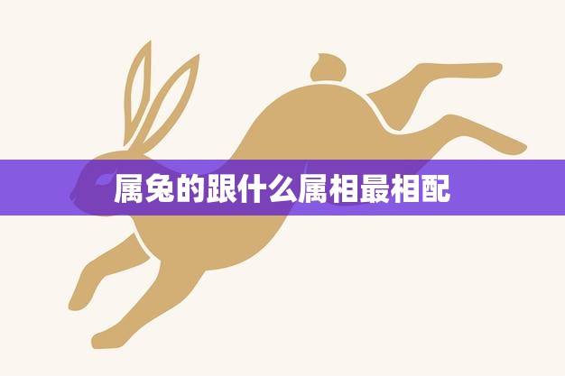 属兔的跟什么属相最相配(12生肖配对大揭秘)  第3张