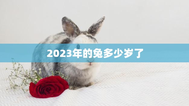 2023年的兔多少岁了(探寻兔年生肖的神秘之处)  第3张