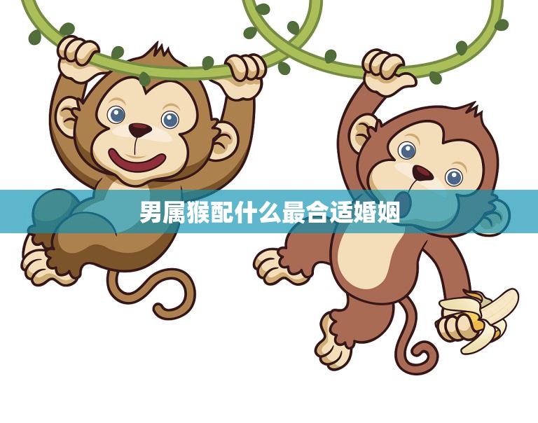 男属猴配什么最合适婚姻(如何选择最佳配偶)  第3张