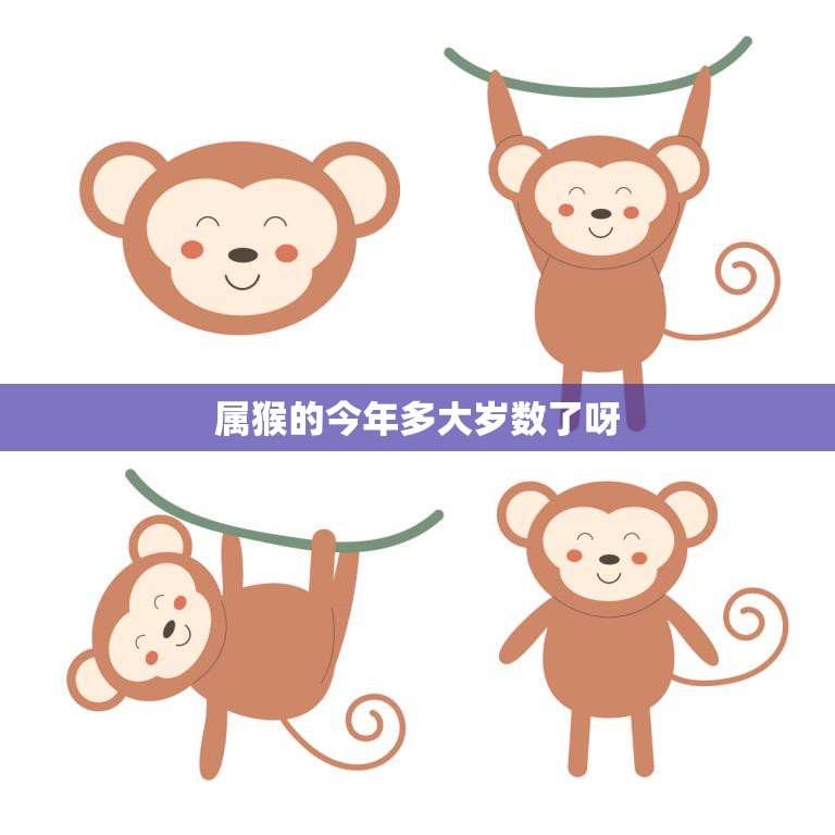 属猴的今年多大岁数了呀(猴年生肖运势大揭秘)  第3张