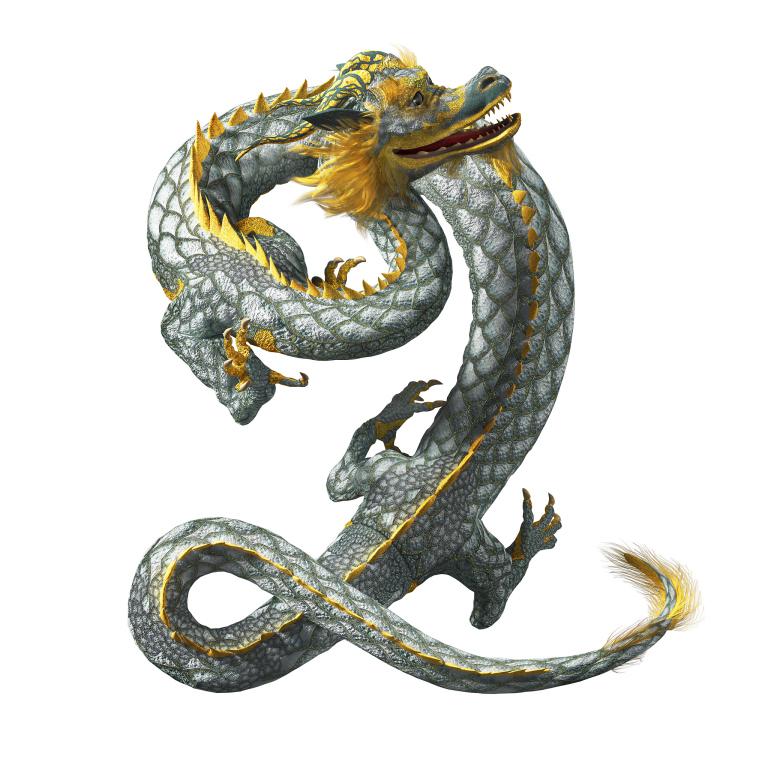 属龙者的幸运色彩：五彩斑斓的世界  第3张