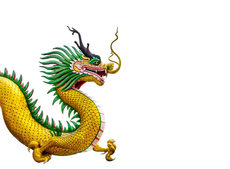 2024年度，我是如何成为青年龙族的杰出人才  第2张