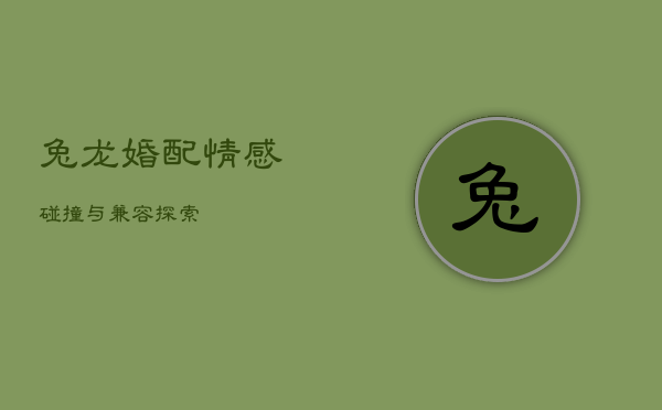 兔龙婚配：情感碰撞与兼容探索  第1张