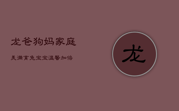 龙爸狗妈家庭美满，育兔宝宝温馨加倍  第1张