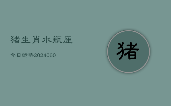 猪生肖水瓶座今日运势(20240603)  第1张