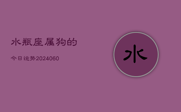 水瓶座属狗的今日运势(20240605)  第1张