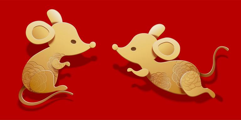 2025十二生肖运势全解析：吉凶方位与转运指南  第1张
