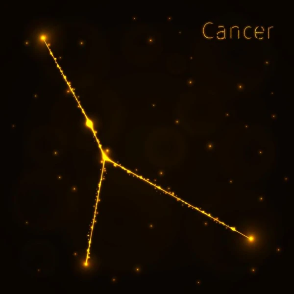 美国神婆每日运势解读：2月9日星座指南